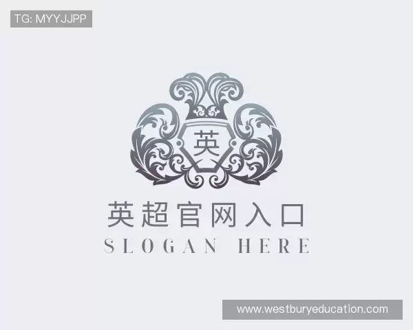 关于英超官网入口